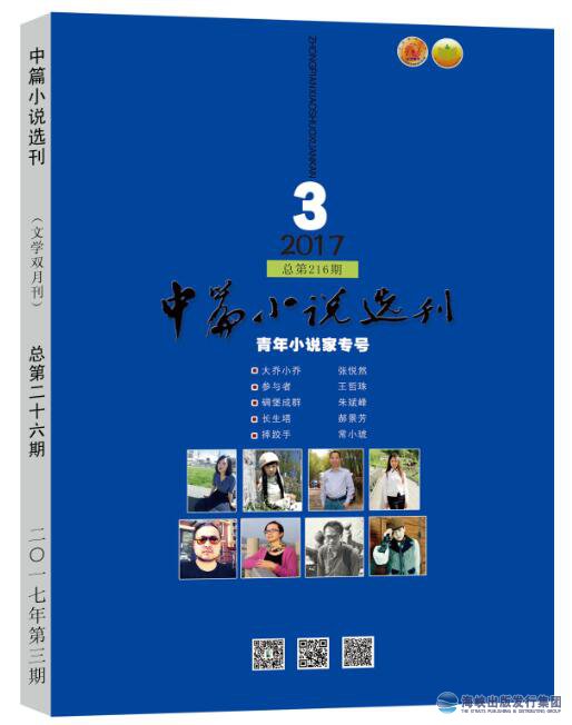 中篇小說(shuō)選刊2017年第3期
