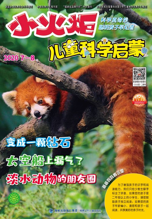 小火炬·兒童科學(xué)啟蒙2020年7月