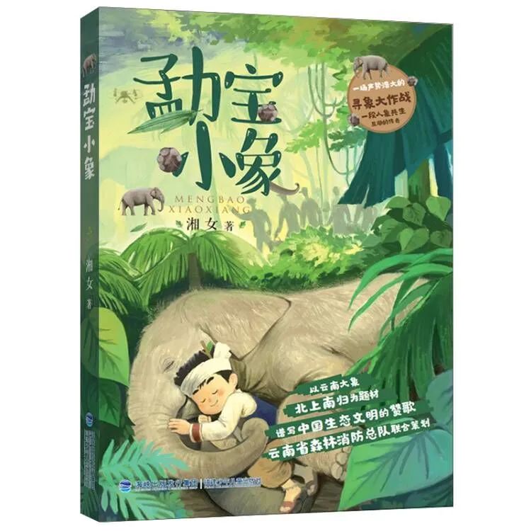 圖片