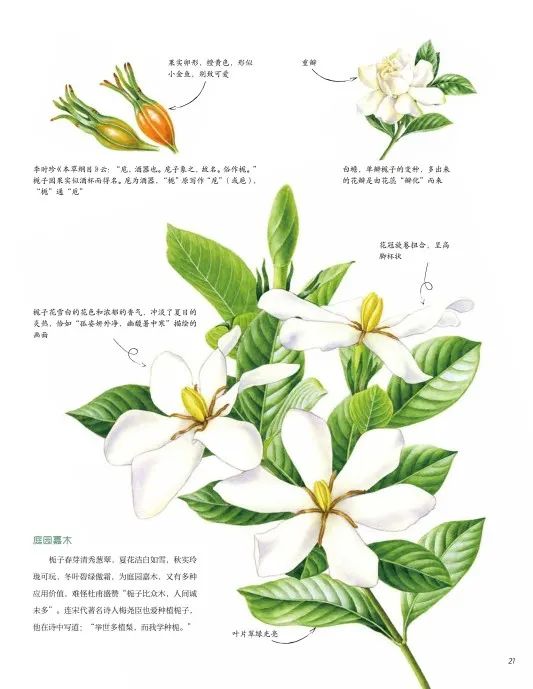 https://img.xiumi.us/xmi/ua/2zOUL/i/68ceeb9d9e3212aef6ffff6050158492-sz_50819.jpg