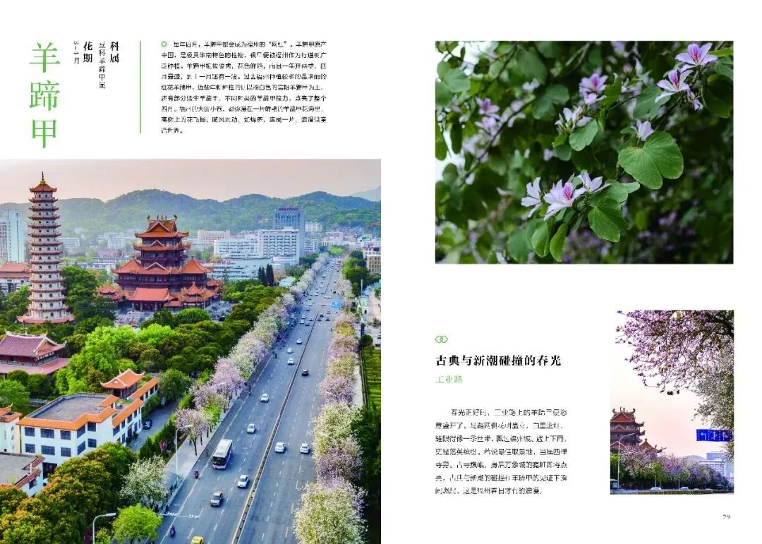 https://img.xiumi.us/xmi/ua/2zOUL/i/60f4899d92999e8f3f4767ded361ffba-sz_169771.jpg