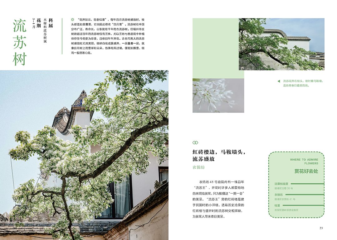 https://img.xiumi.us/xmi/ua/2zOUL/i/70481001c3367604c87b93605ad00258-sz_1105958.png