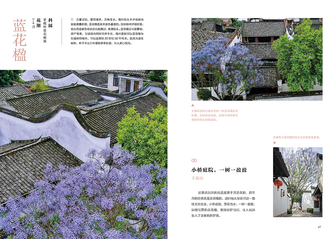 https://img.xiumi.us/xmi/ua/2zOUL/i/56a6cbc616258bdcc247e193c89073ba-sz_1469825.png