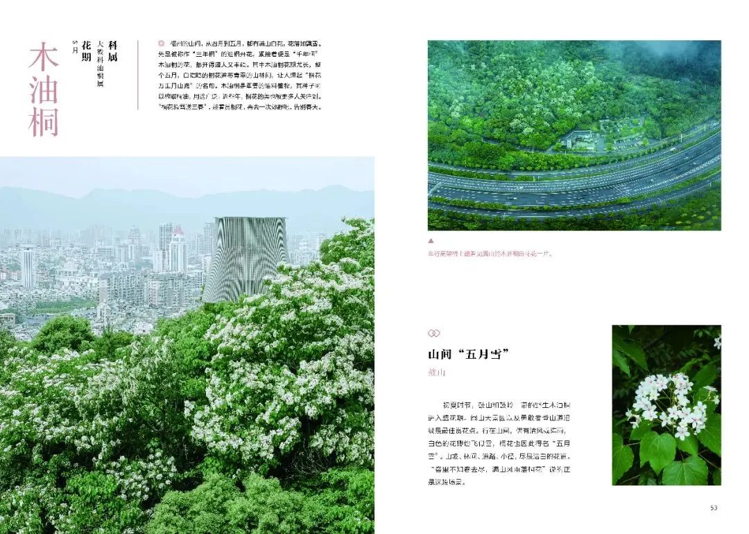 https://img.xiumi.us/xmi/ua/2zOUL/i/8252f675ae4b1cf3a87b7c9030f6850e-sz_188627.jpg