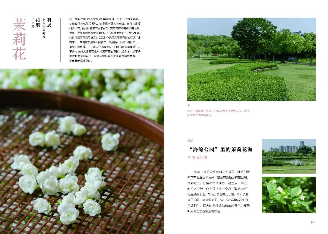 https://img.xiumi.us/xmi/ua/2zOUL/i/237c7f2b0489b3e5762077ee3c97a68d-sz_143446.jpg