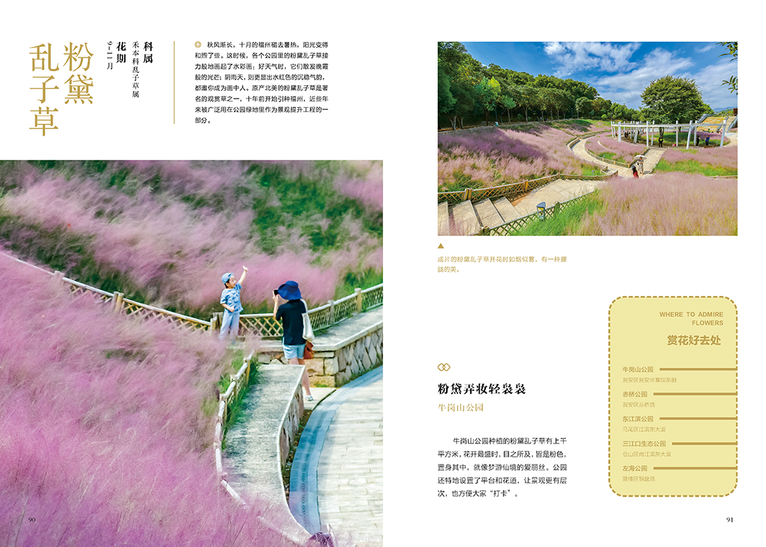 https://img.xiumi.us/xmi/ua/2zOUL/i/eb5a461806ca15a35538ef3e2f51a833-sz_1068538.png