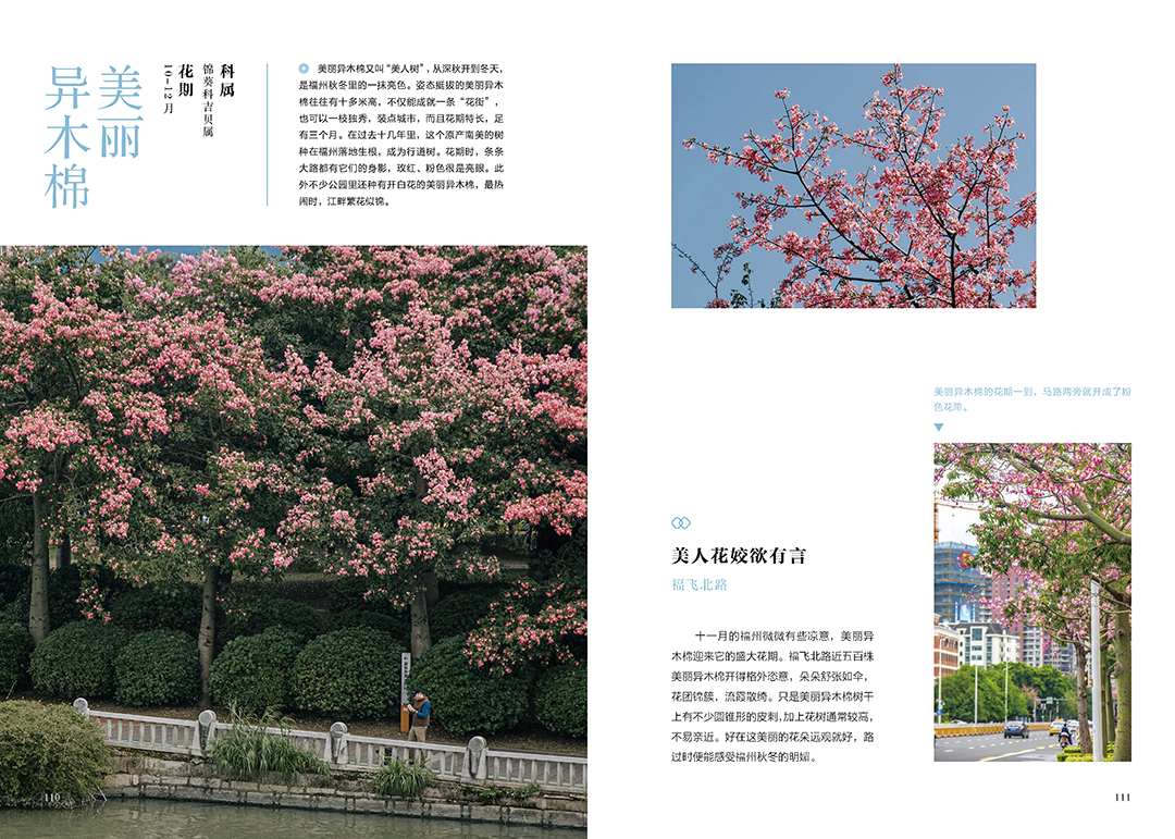 https://img.xiumi.us/xmi/ua/2zOUL/i/cb73ed9d7ddbd3dac24d4d63efaa24a6-sz_1302086.png