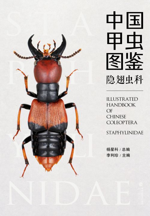 中國甲蟲(chóng)圖鑒（隱翅蟲(chóng)科）