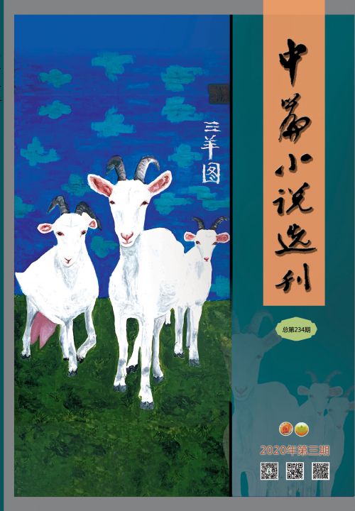 中篇小說(shuō)選刊2020年4月