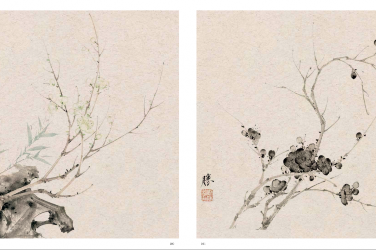 圖片